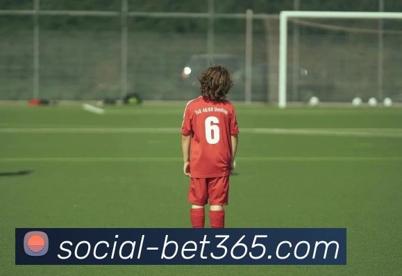 bet365平台生态图