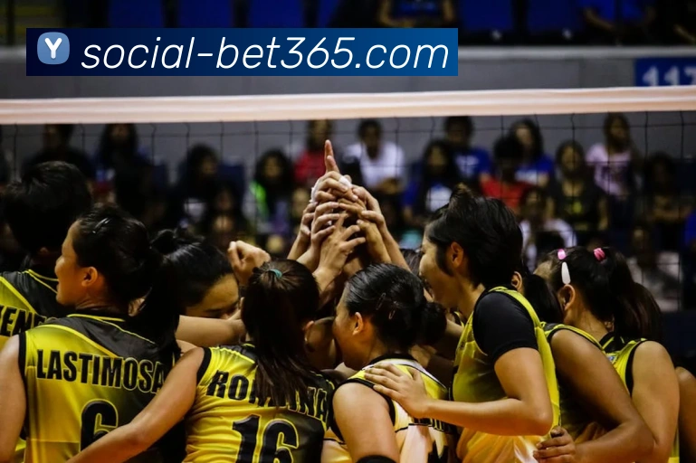 辅助工具 辅助工具